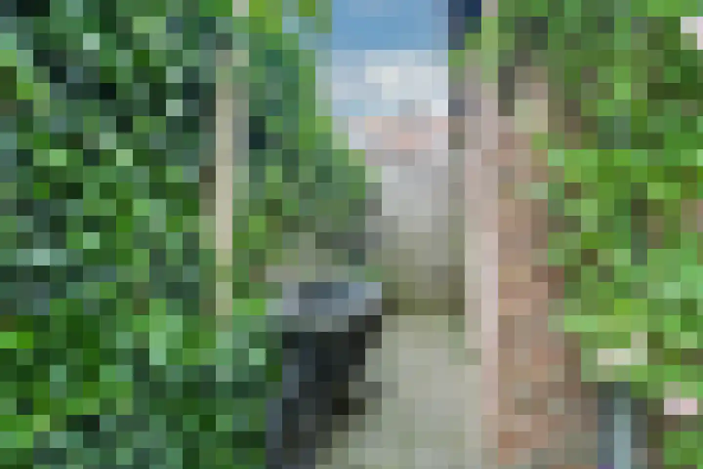 Zoeterwoudseweg 136 Leiden thumbnail 34