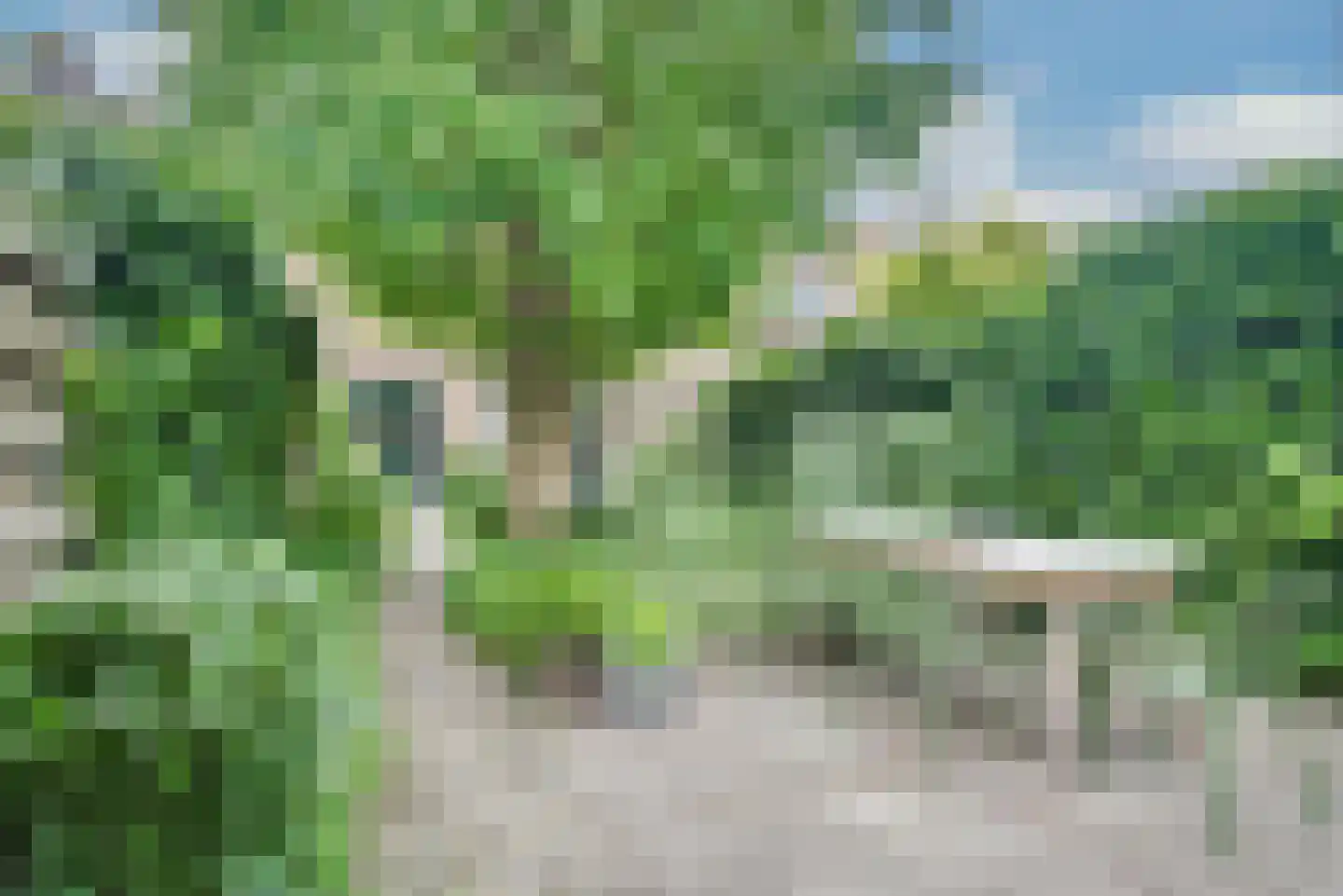Zoeterwoudseweg 136 Leiden thumbnail 5