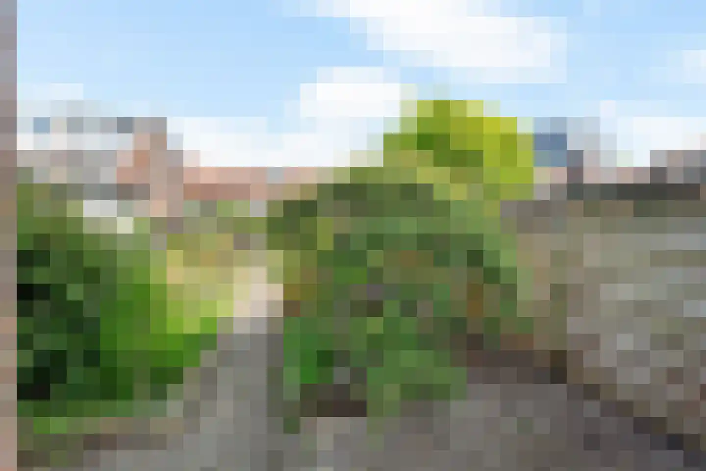 Zoeterwoudseweg 84 Leiden thumbnail 20