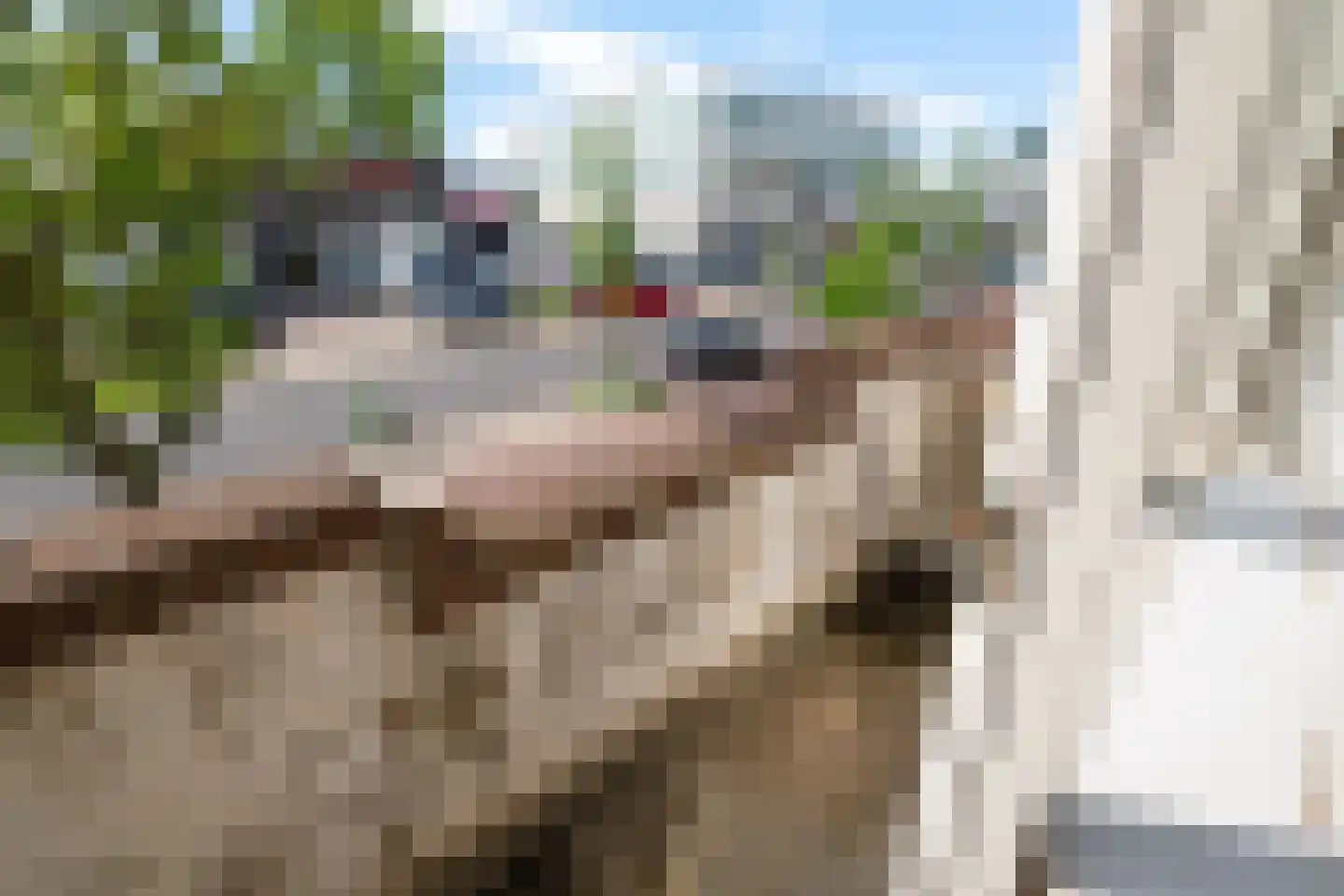 Zoeterwoudseweg 84 Leiden thumbnail 37