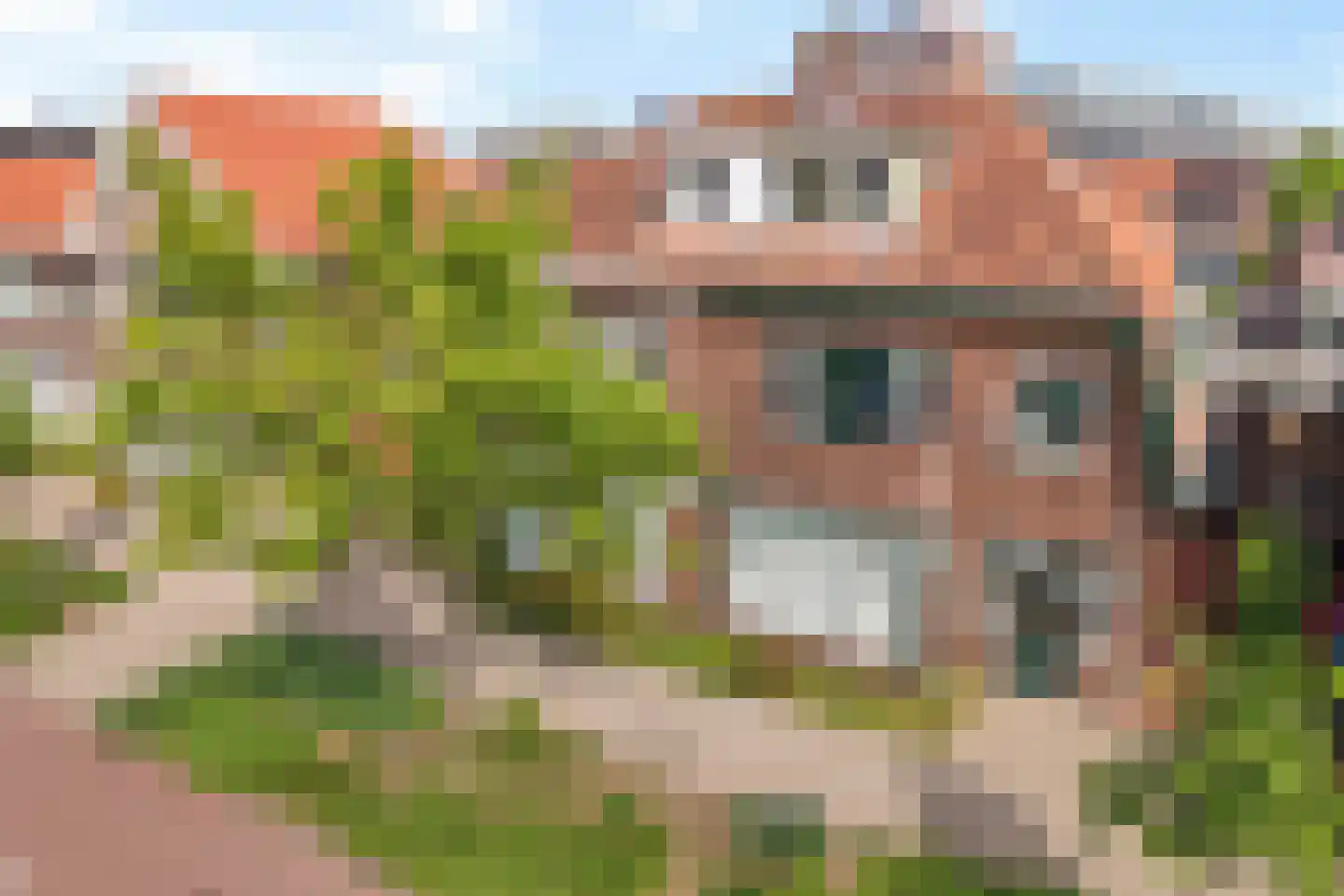 Zoeterwoudseweg 84 Leiden thumbnail 42