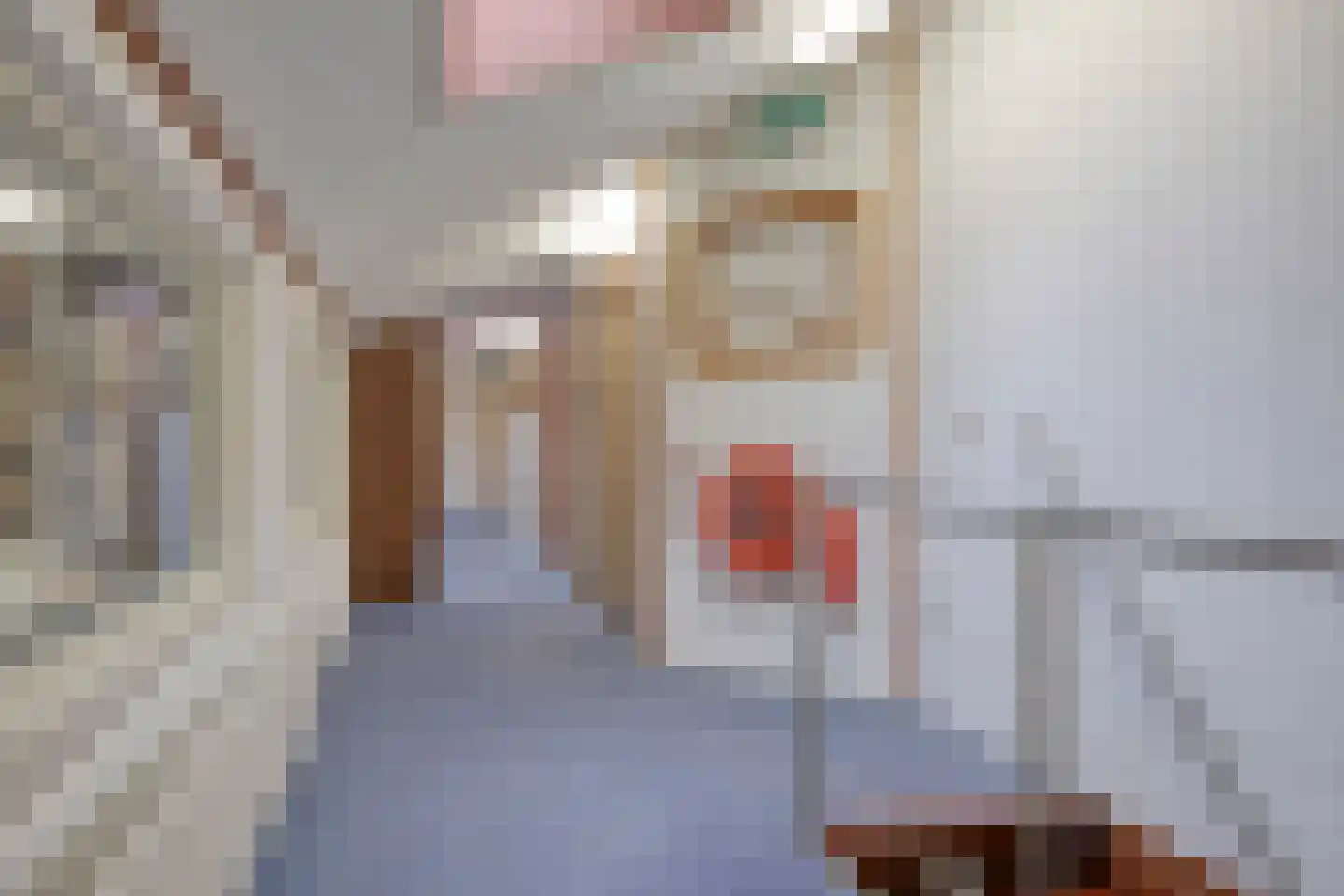 Zoetsmeerweg 1 a Haps thumbnail 29
