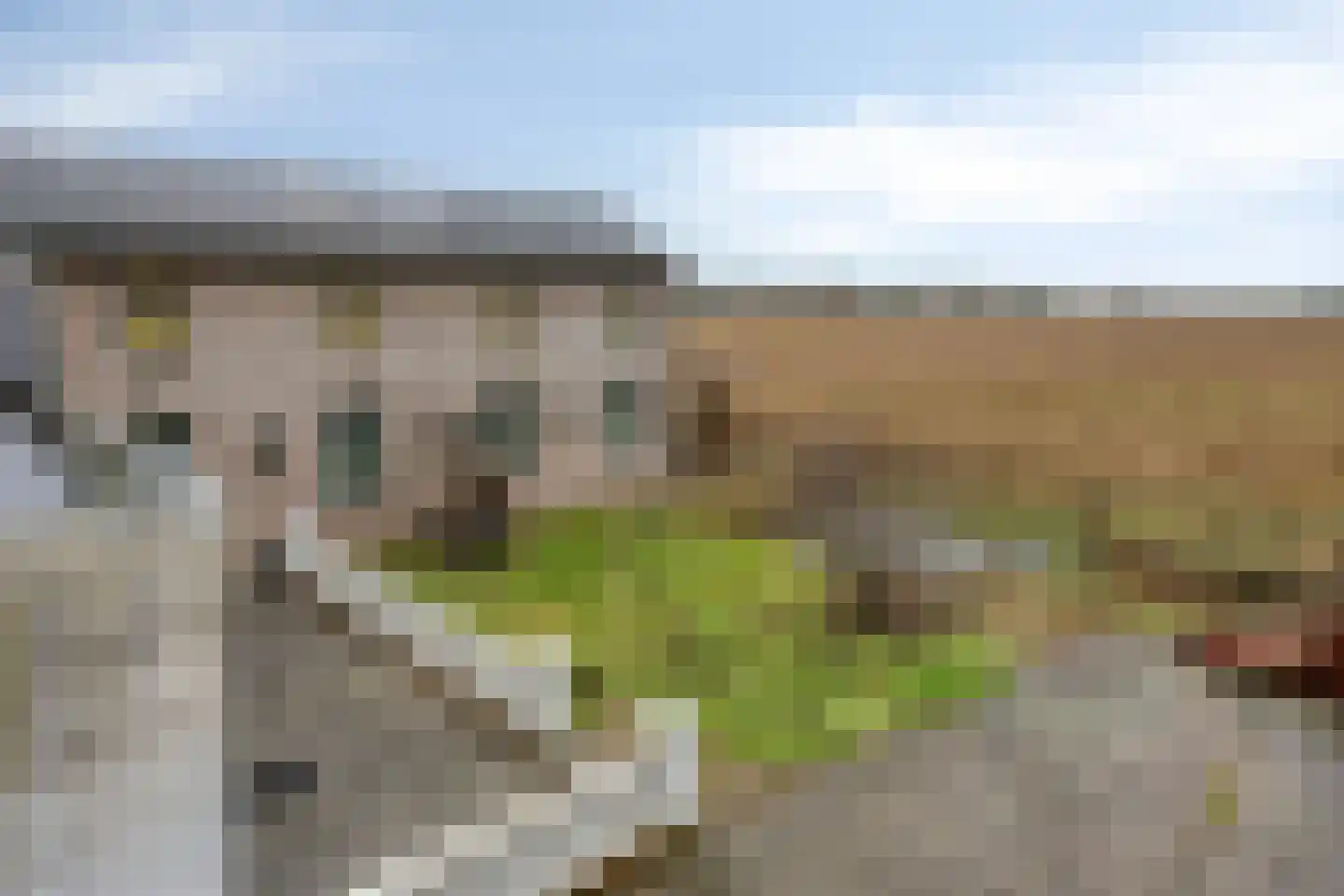 Zoetsmeerweg 1 a Haps thumbnail 38