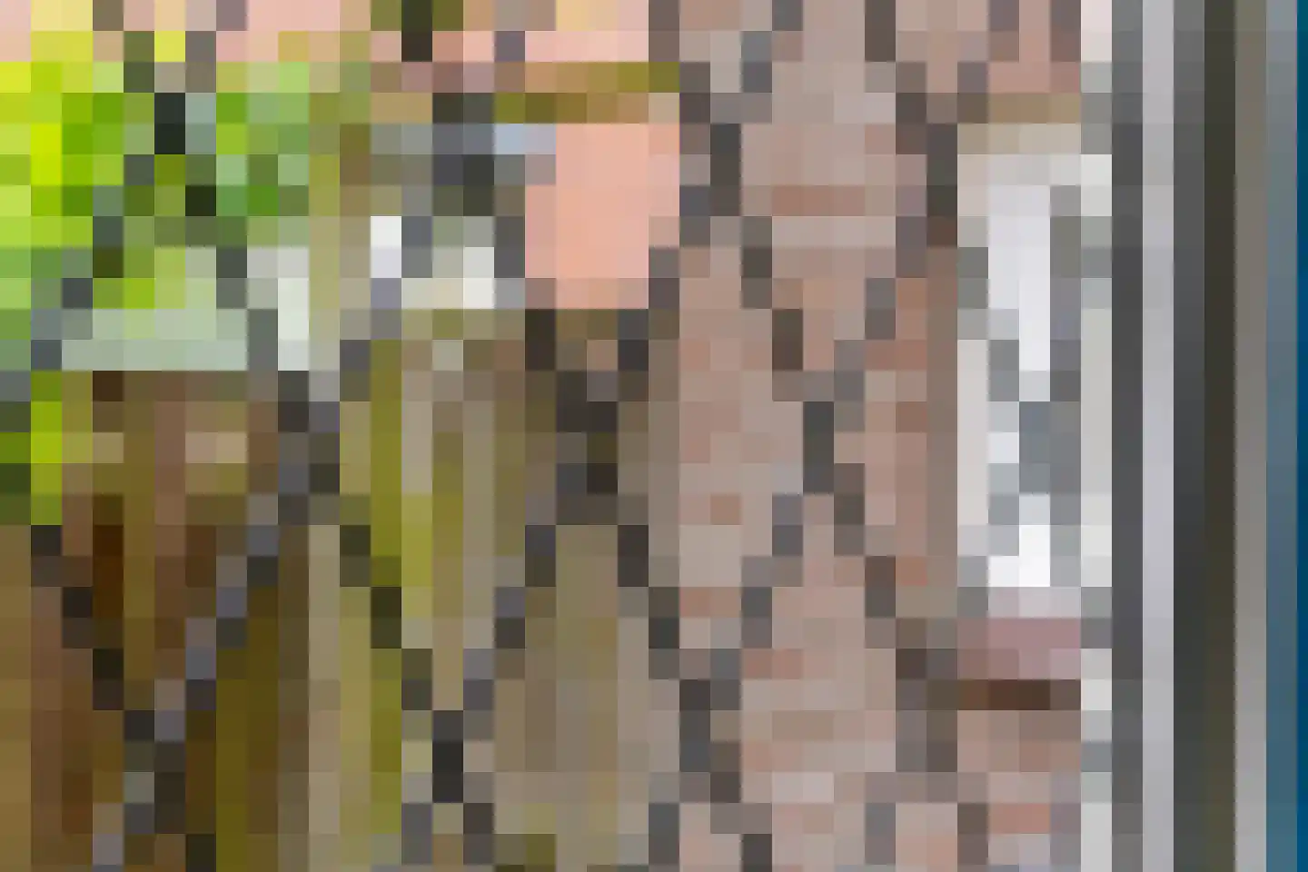 Zoetzandselaan 2 Beusichem thumbnail 18