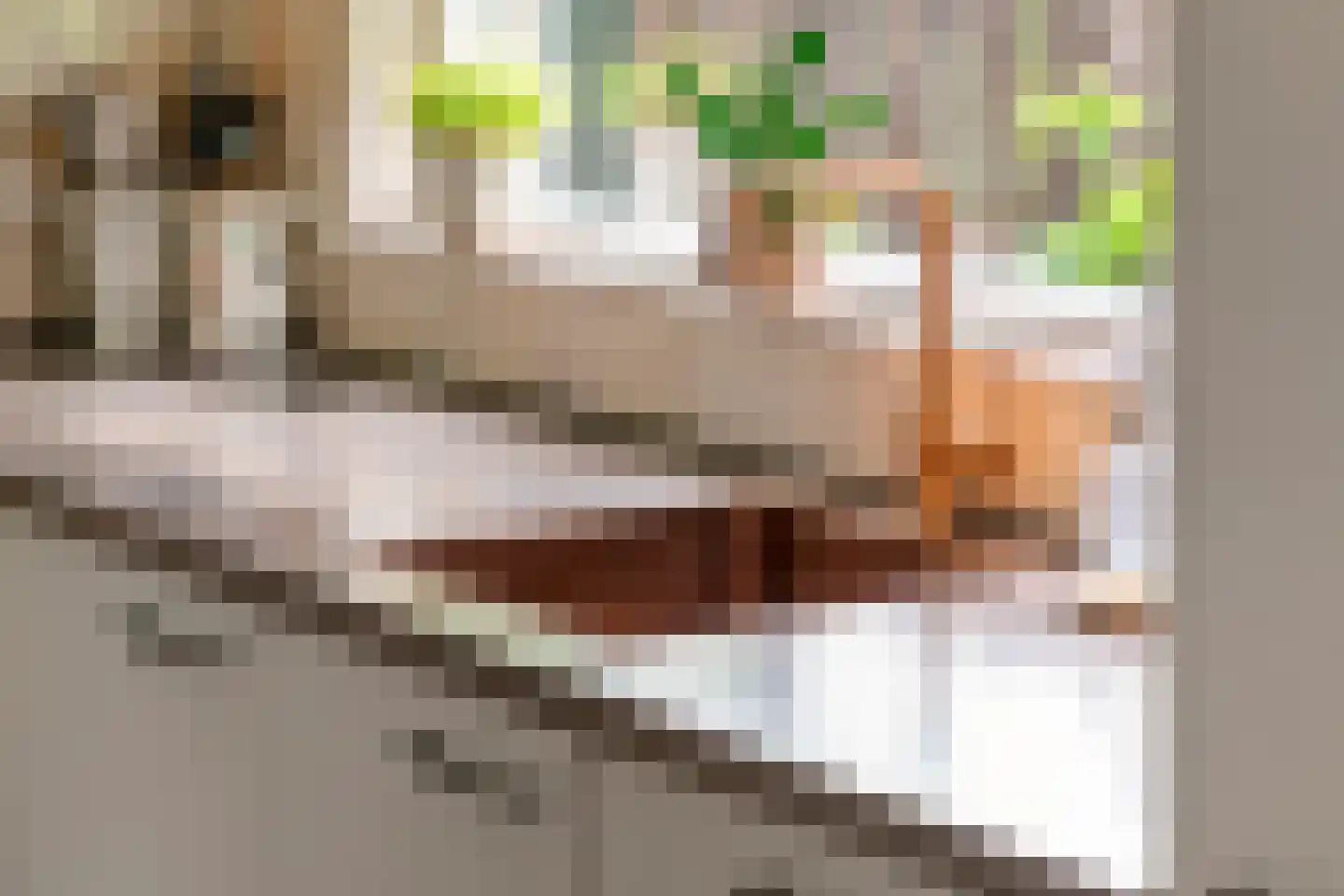 Zoetzandselaan 2 Beusichem thumbnail 22