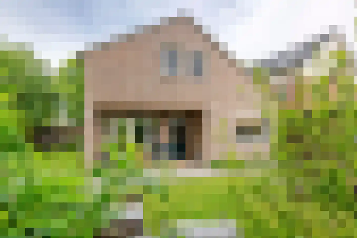 Zoetzandselaan 2 Beusichem foto 3