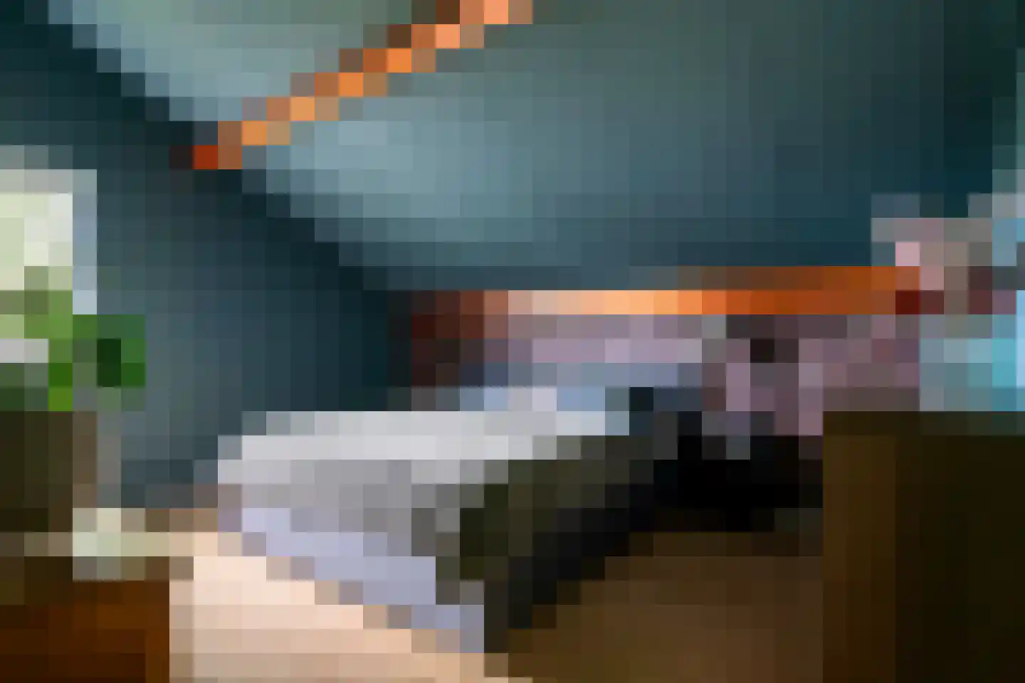 Zoetzandselaan 2 Beusichem thumbnail 34