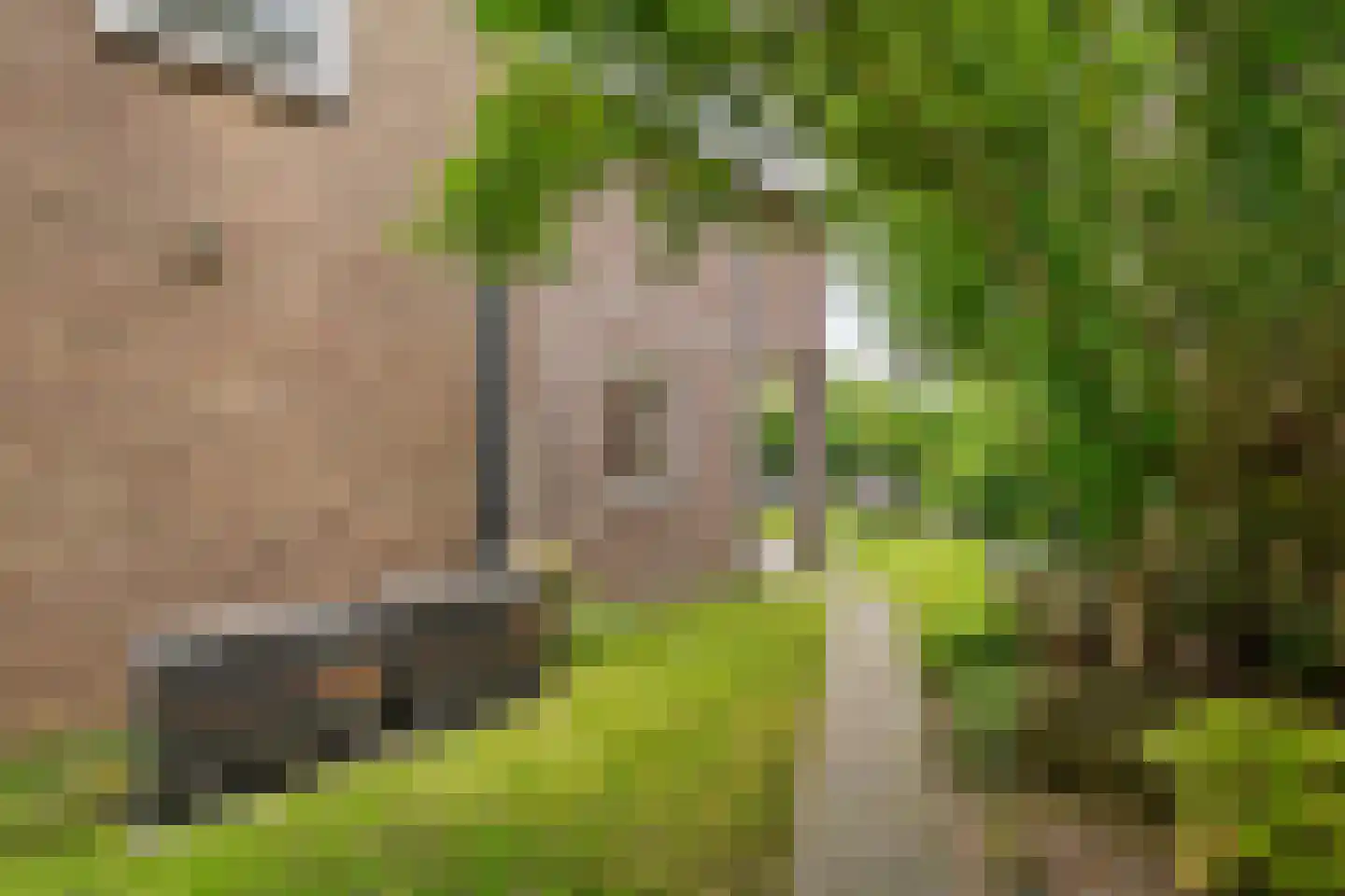 Zoetzandselaan 2 Beusichem thumbnail 48