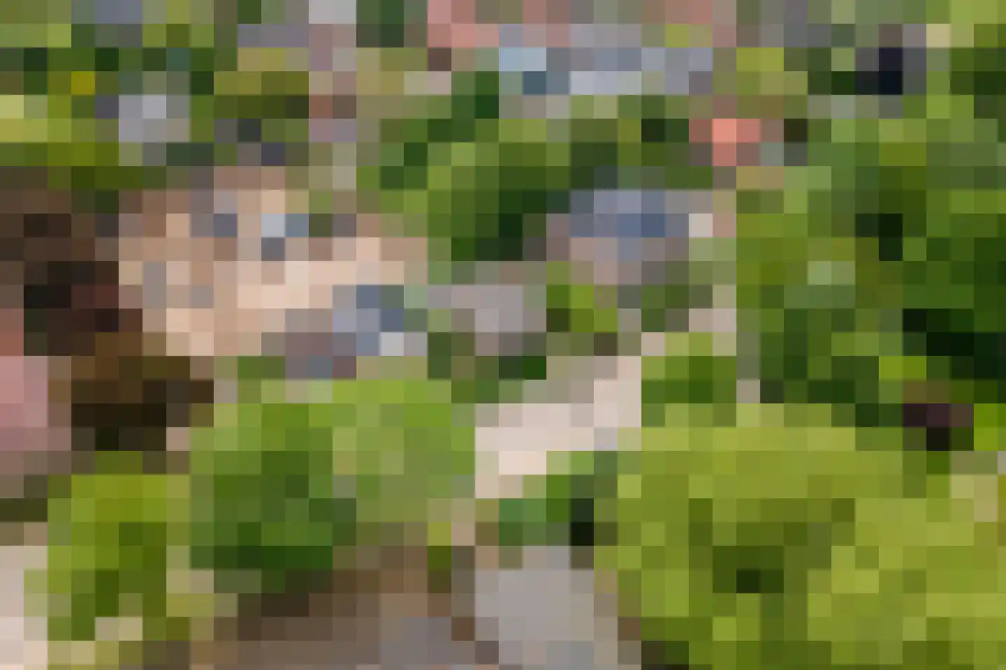Zoetzandselaan 2 Beusichem thumbnail 49