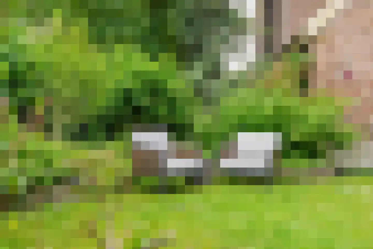 Zoetzandselaan 2 Beusichem thumbnail 6