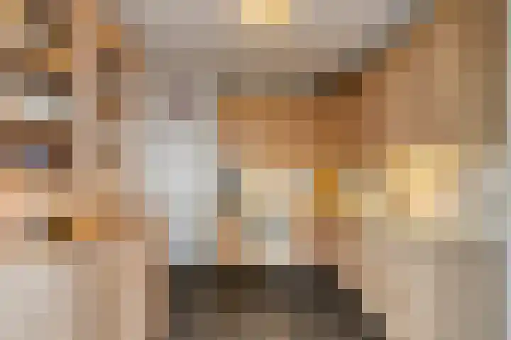 Zoggelsestraat 89 Heesch thumbnail 11