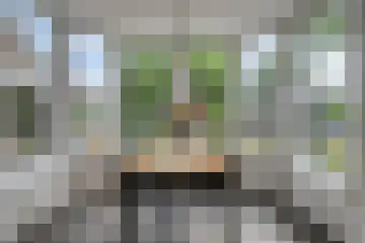 Zoggelsestraat 89 Heesch thumbnail 12
