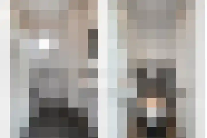 Zoggelsestraat 89 Heesch thumbnail 13