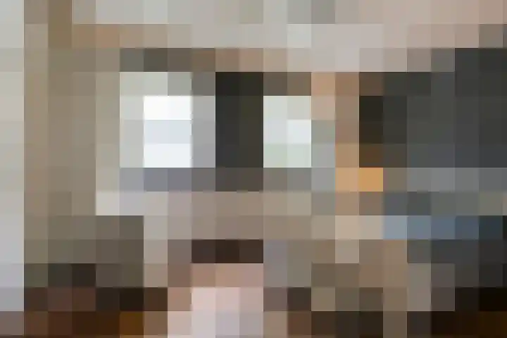 Zoggelsestraat 89 Heesch thumbnail 14