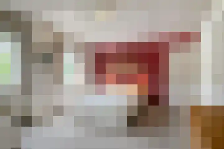 Zoggelsestraat 89 Heesch thumbnail 18