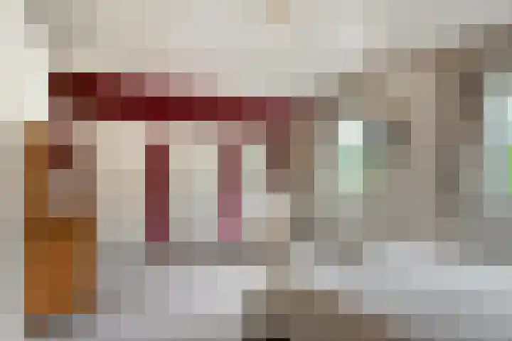 Zoggelsestraat 89 Heesch thumbnail 19
