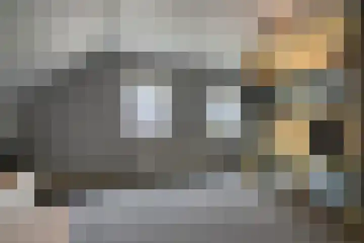 Zoggelsestraat 89 Heesch thumbnail 20