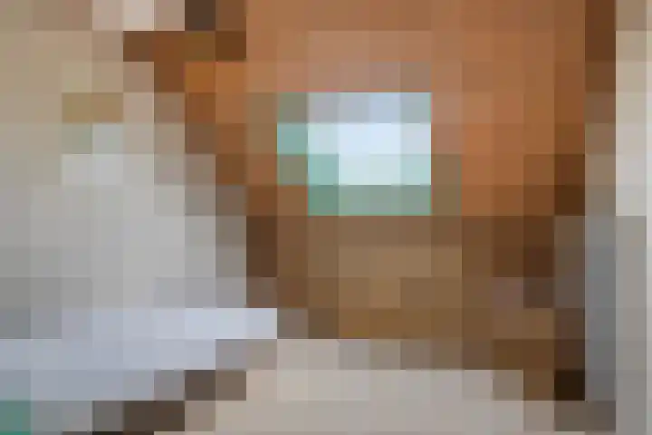 Zoggelsestraat 89 Heesch thumbnail 22