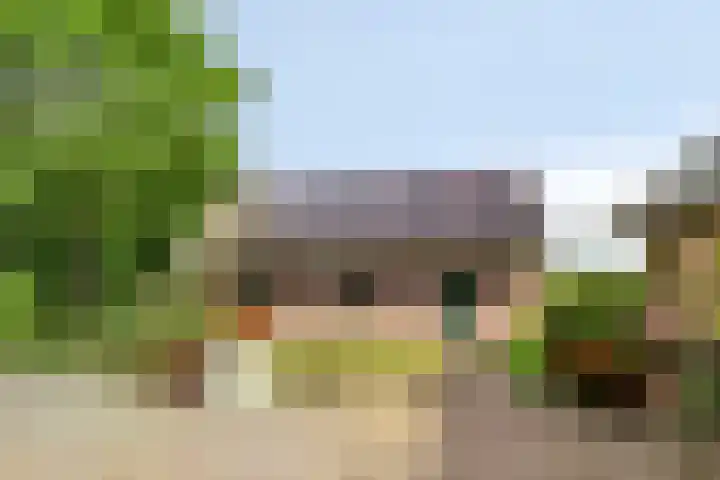 Zoggelsestraat 89 Heesch thumbnail 24
