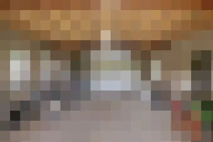 Zoggelsestraat 89 Heesch thumbnail 25