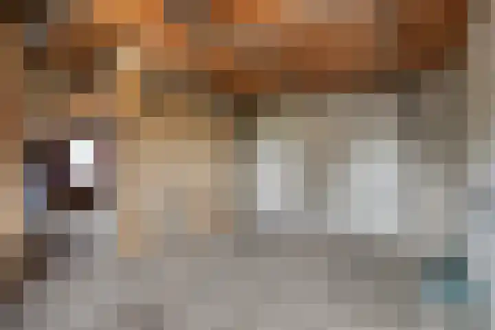 Zoggelsestraat 89 Heesch thumbnail 28