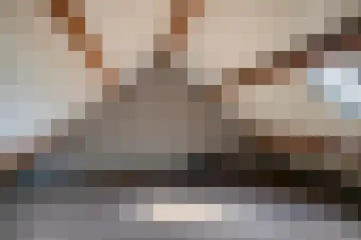 Zoggelsestraat 89 Heesch thumbnail 30