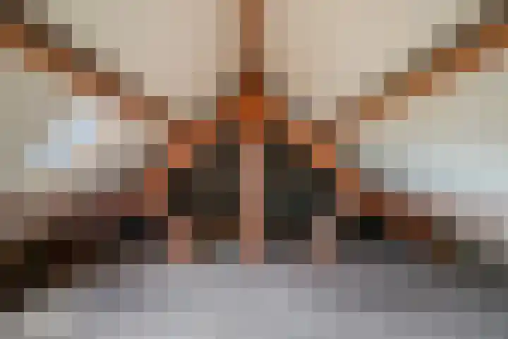 Zoggelsestraat 89 Heesch thumbnail 31