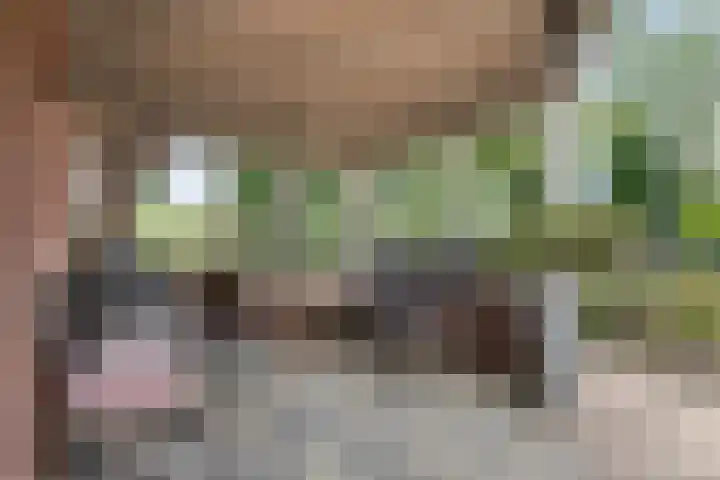 Zoggelsestraat 89 Heesch thumbnail 32