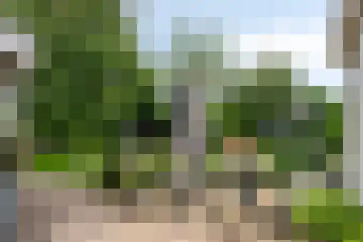 Zoggelsestraat 89 Heesch thumbnail 33