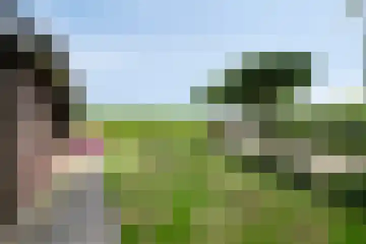 Zoggelsestraat 89 Heesch thumbnail 35