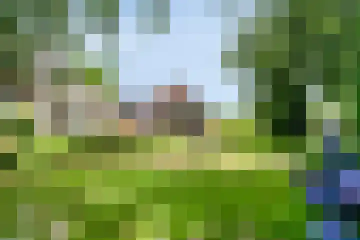 Zoggelsestraat 89 Heesch thumbnail 36