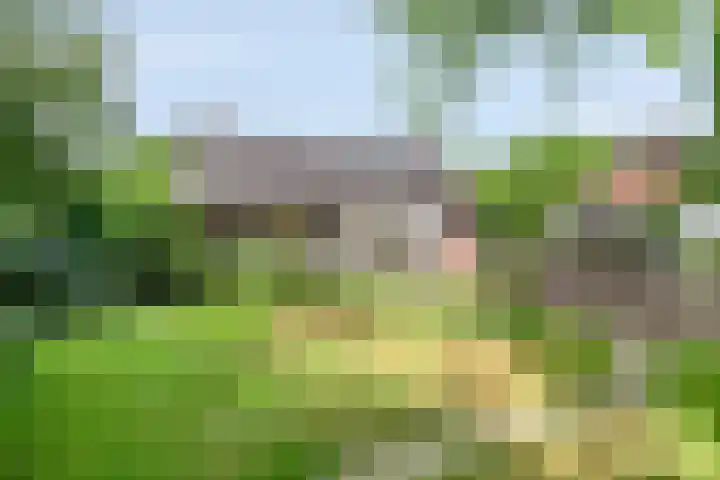 Zoggelsestraat 89 Heesch thumbnail 37