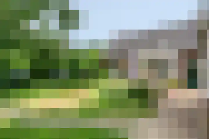 Zoggelsestraat 89 Heesch thumbnail 39