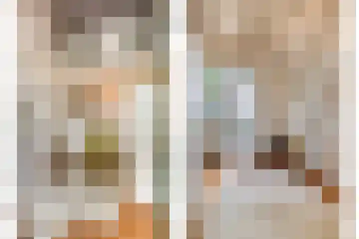 Zoggelsestraat 89 Heesch thumbnail 4