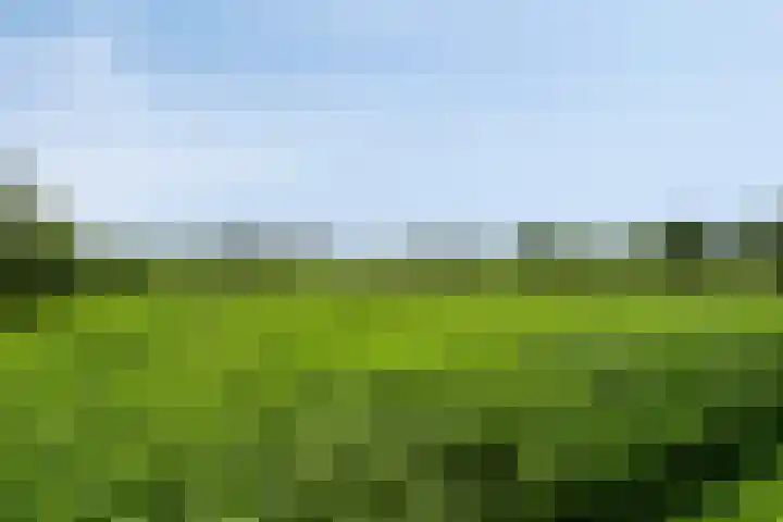 Zoggelsestraat 89 Heesch thumbnail 40