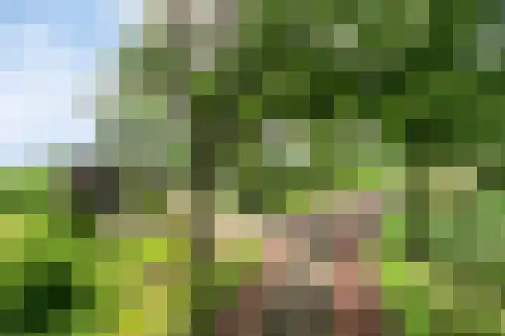 Zoggelsestraat 89 Heesch thumbnail 42