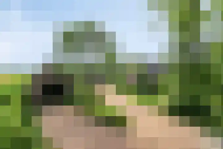 Zoggelsestraat 89 Heesch thumbnail 43