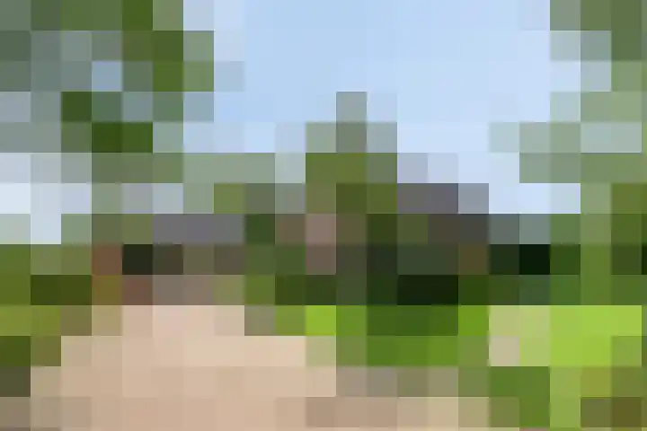 Zoggelsestraat 89 Heesch thumbnail 44