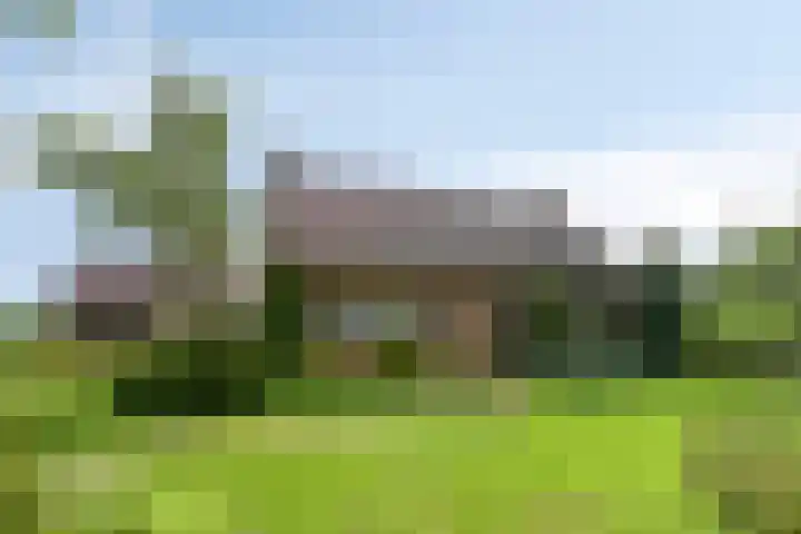 Zoggelsestraat 89 Heesch thumbnail 45