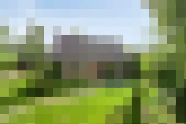 Zoggelsestraat 89 Heesch thumbnail 46