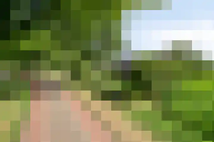 Zoggelsestraat 89 Heesch thumbnail 47