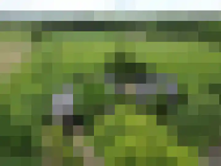 Zoggelsestraat 89 Heesch thumbnail 48