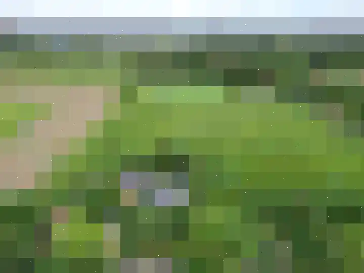 Zoggelsestraat 89 Heesch thumbnail 49