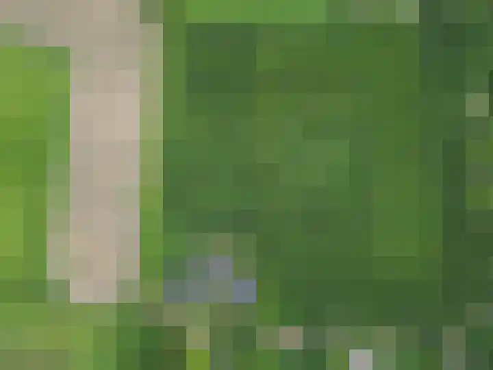 Zoggelsestraat 89 Heesch thumbnail 50