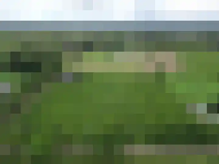Zoggelsestraat 89 Heesch thumbnail 52