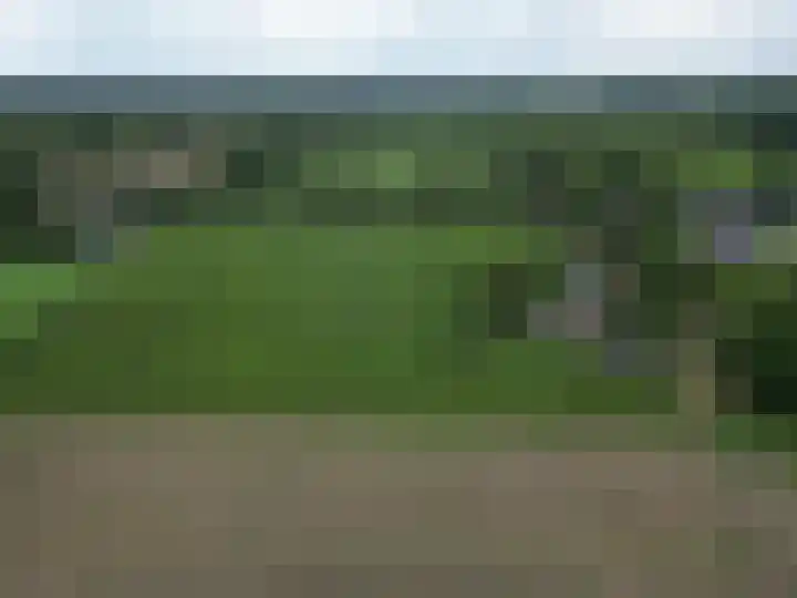 Zoggelsestraat 89 Heesch thumbnail 54
