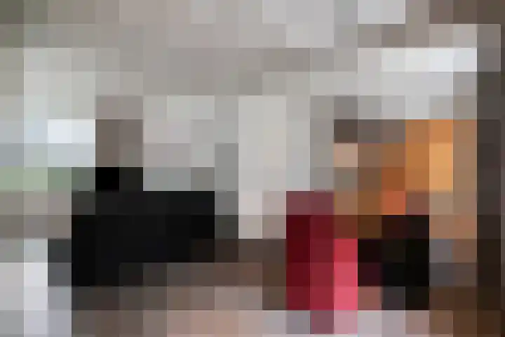 Zoggelsestraat 89 Heesch thumbnail 6