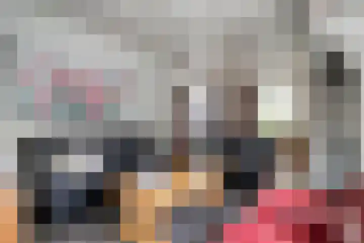 Zoggelsestraat 89 Heesch thumbnail 8