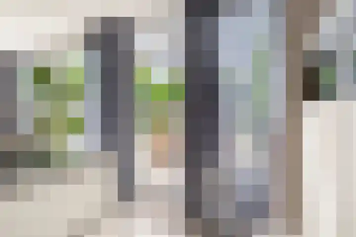 Zolastraat 10 Venlo thumbnail 10