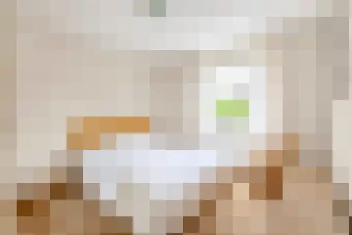 Zolastraat 10 Venlo thumbnail 15